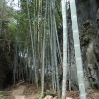 /photo/646506/我的相片/psb (7)_1_4_small.jpg